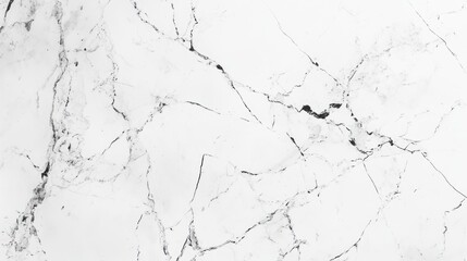 Elegant white marble surface with striking black veining, perfect for sophisticated interior design.