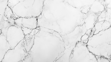 Elegant white marble surface with striking black veins, perfect for modern designs.