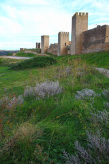 Autumn view of the Cerco de Artajona fortress (Navarre, Spain)