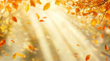 autumn leaves background