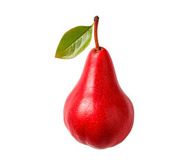 Ripe red pear with a slender stem, isolated on a transparent background