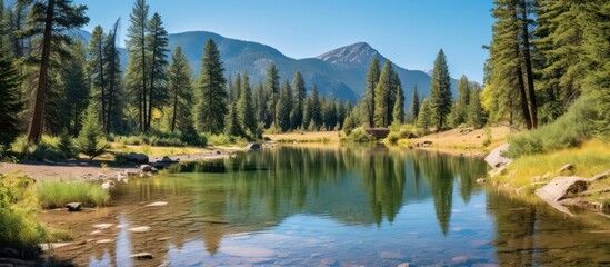 Serene Mountain Lake Reflections