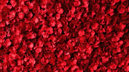 This vibrant display of fresh red roses is beautifully arranged in a floral backdrop, showcasing the elegance and romance of nature