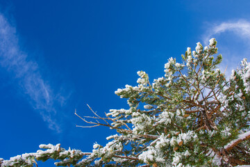 Cielo despejado después de nevada