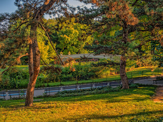 Bow bridge in late summer