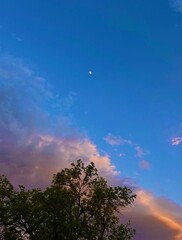 the moon at sunset