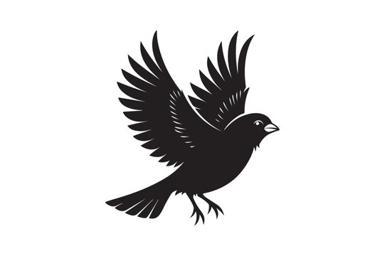 recommend clip art: Finch bird silhouette vector illustration