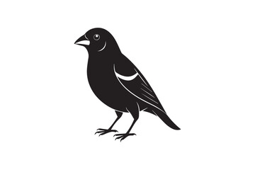 Finch bird silhouette vector illustration