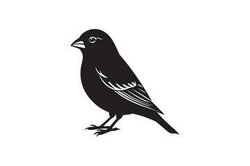 Finch bird silhouette vector illustration