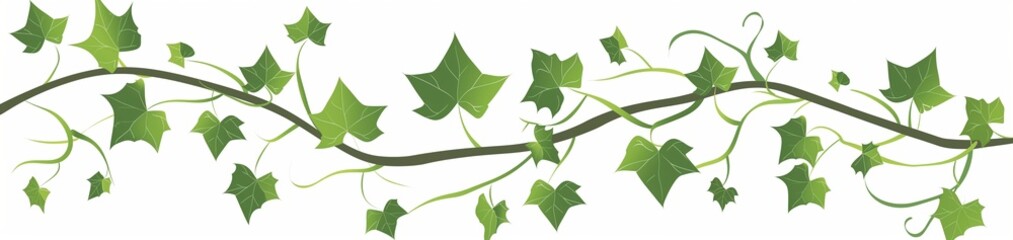 Obraz premium Ivy, which is a simple and flat clip art on a white background.