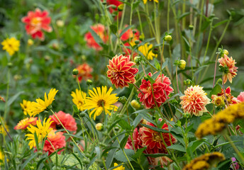 Colourful flowers in the garden at the impressionist painter, Claude Monet's house in Giverny, Normandy, France. 

