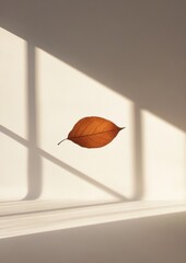 A leaf is on a white wall, with a window behind it