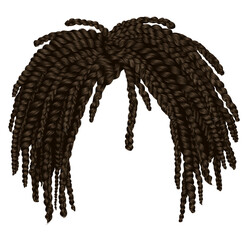trendy african long  hair brown braids . 
realistic  3d . fashion beauty style .hairstyle wig