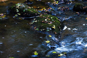 Yellow fall leaves and rocks with moss in forest stream background