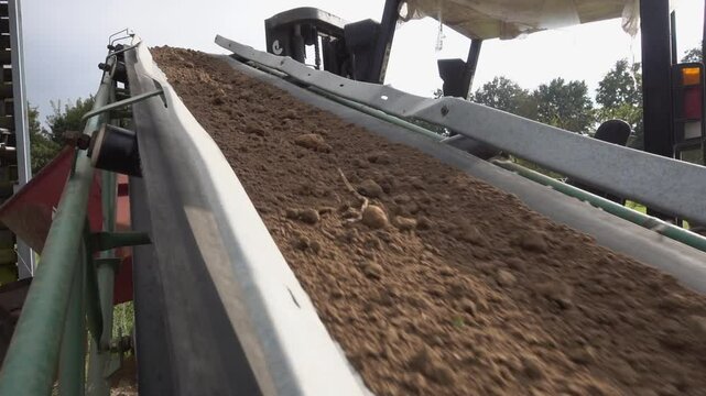 Erde wird w&auml;hrend der ernte ausgesiebt und &uuml;ber ein F&ouml;rderband abtransportiert
