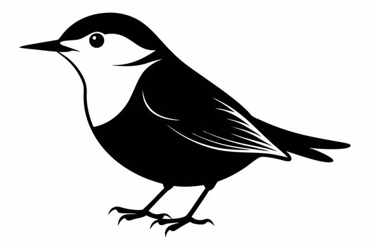 recommend clip art: Nuthatch birds silhouette vector illustration on a white background 