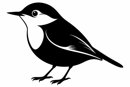 recommend clip art: Nuthatch birds silhouette vector illustration on a white background 