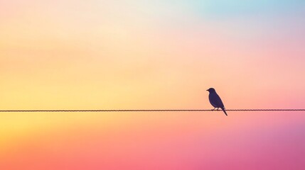 bird sitting  on top of cable 
