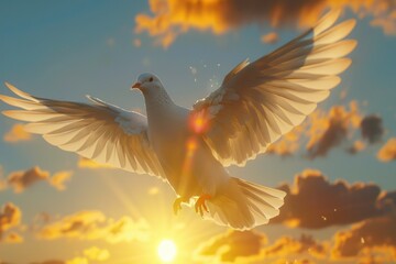 Dove flying with wings open in front of the sun.