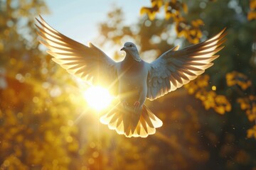 Dove flying with wings open in front of the sun.