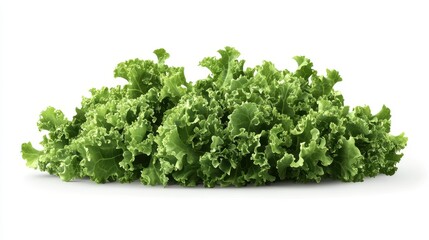 Obraz premium Fresh green kale leaves arranged neatly, ideal for healthy eating and cooking inspirations, white background