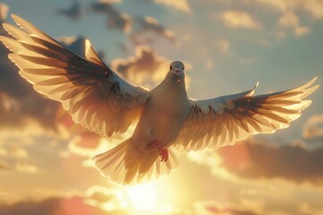 Dove flying with wings open in front of the sun.