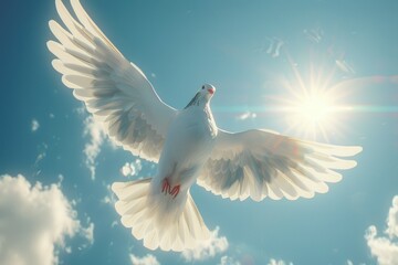 Obraz premium Dove flying with wings open in front of the sun.