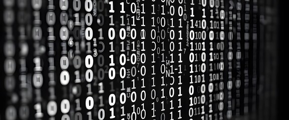 The screen&rsquo;s black and white and the detailed textures. Screen displaying abstract Binary code is only small 0 and 1.