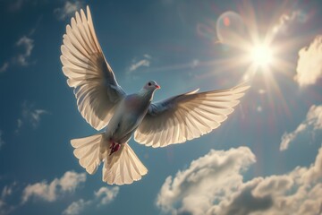 Fototapeta premium Dove flying with wings open in front of the sun.