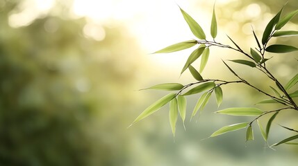 Fototapeta premium Softfocus of bamboo leaves swaying gently in the wind, rhythmic movement, calming nature zen