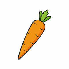 carrot vector icon on withe background