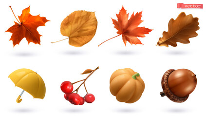 Autumn, high quality 3d realistic vector set