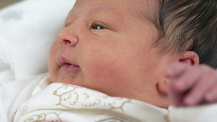 Newborn gazing softly with curiosity, resting in a peaceful home setting, capturing an intimate...