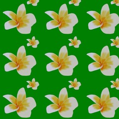 Drawing of a frangipani flower-shaped cloth pattern