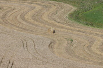 Sweden. A combine harvesting wheat in a field near the city of Linköping. Östergötland County.