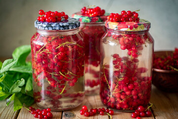 Red currant compote in glass jars on a gray background. Harvesting for the winter. Close-up