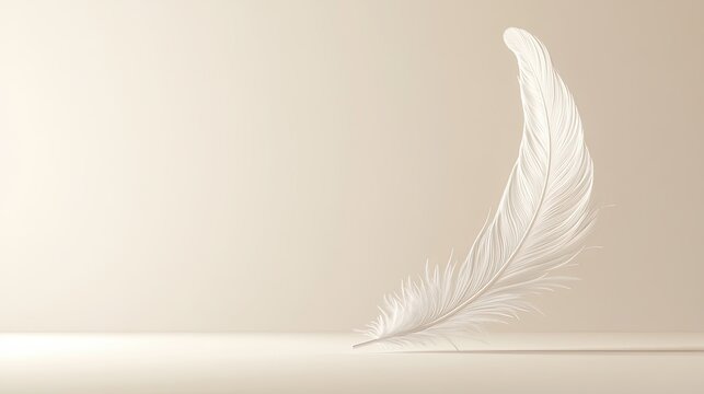 Gentle feather elegance: nature's graceful fall in soft light.