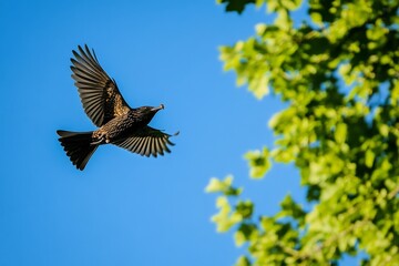 Obraz premium A bird soars gracefully against a bright blue sky. The vibrant green leaves highlight its beauty. This image captures nature in motion. Generative AI