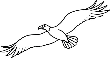 Flying Vulture Overhead Vector Illustration for Animal Lovers Coloring
