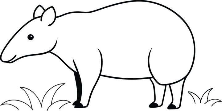 black and white tapir standing in grass clip art preview