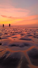 Wattwandern im Sonnenuntergang