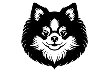 A beautiful silhouette big head pom fret