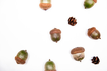 flat lay of scattered pinecones and acorns against a white background