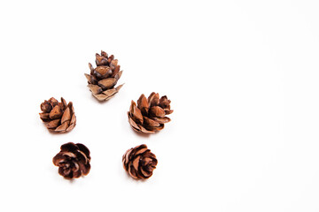 flat lay of five mini pincones against a white background with copy space available 