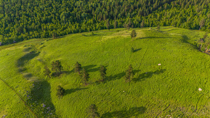 Mongolische Steppe 