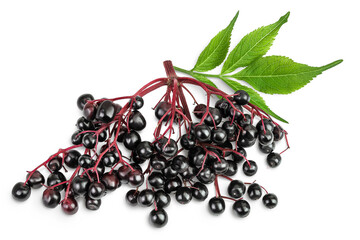 Ripe black elderberry or elder isolated on a white background. Sambucus. Top view. Flat lay