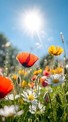 In the foreground, various wildflowers bloom in an open field under the bright sunshine. The sky is blue with white clouds, and there's some lens flare.