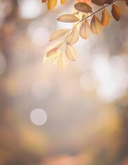 Golden autumn leaves hanging from a branch, illuminated by soft, warm sunlight in a blurred, glowing fall backdrop.