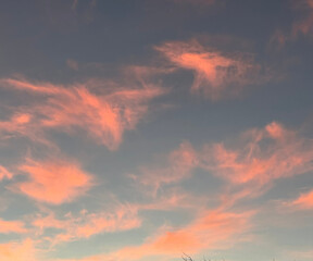 pink clouds in sky