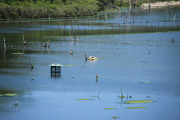 岡山県瀬戸内市　鹿忍グリーンファーム跡の風景